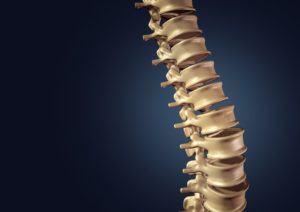 Eseguito al Rizzoli il primo trapianto al mondo di vertebre umane