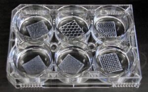 Scaffold 3D bioprinting