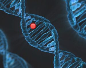La mappa delle mutazioni genetiche alla base dei tumori