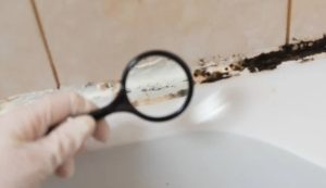 Muffa della doccia