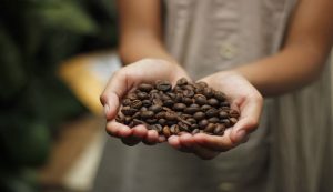 chicchi di caffè