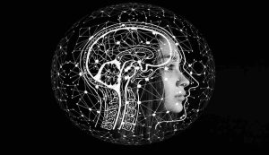 cervello in illustrazione