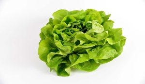 insalata su sfondo bianco