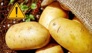 Patate (Pixabay foto)