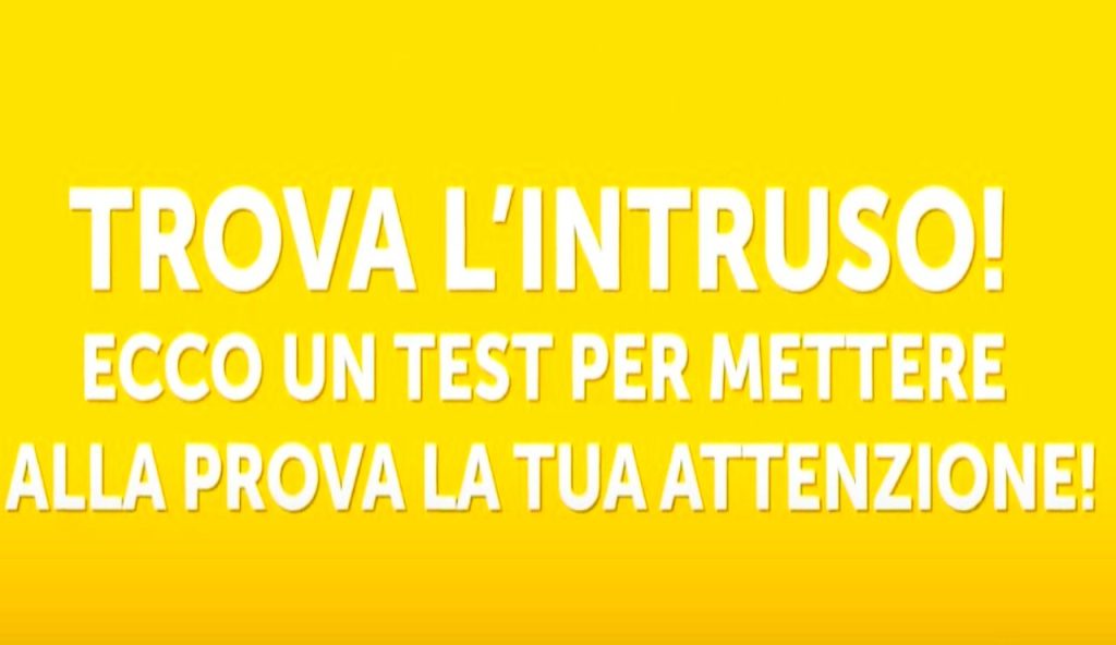 Trova il gatto diverso in 5 secondi: se non ci riesci rischi complicazioni neurologiche | Questo test svela il primo sintomo
