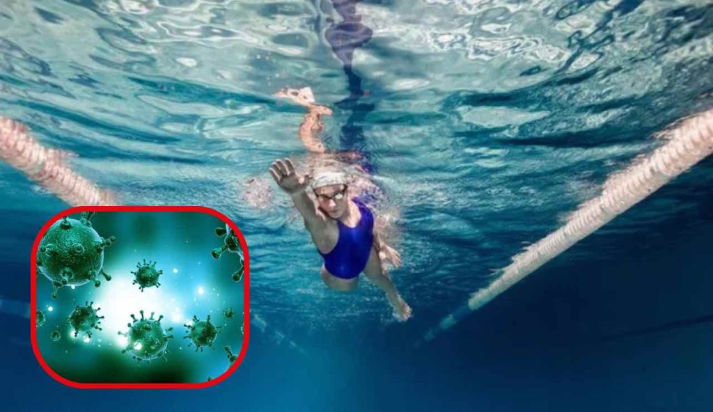 Virus in piscina